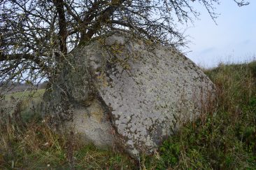 Dydžiu išsiskiriantis akmuo Oreliškės kaime