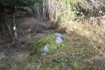 Pašilės miške stūksantis mitologinis akmuo