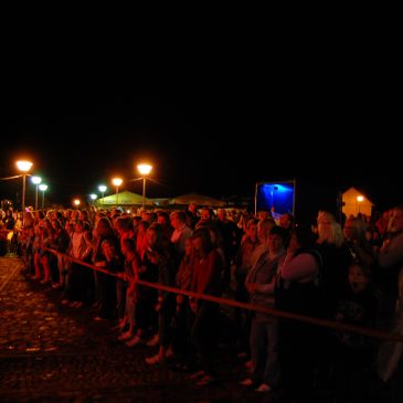 Kražių festivalis 2008