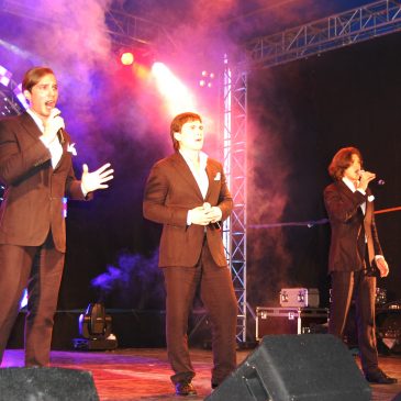 Kražių festivalis 2008