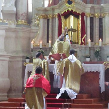 Vienuoliktosios „Ad Fontes“ akademijos dalyvius pasveikino Šiaulių vyskupas