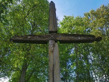 Medinis kryžius senosiose Linkaučių kapinėse