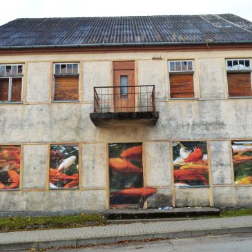 Kražių miestelis tapo fotografijos galerija