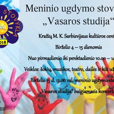 Meninio ugdymo stovykla „Vasaros studija“