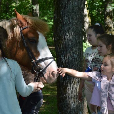 Meninio ugdymo stovykla „Vasaros studija“