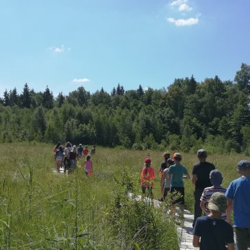 Vaikų vasaros stovyklos „Linksma vasara“ ekskursija „Po Raseinių kraštą“